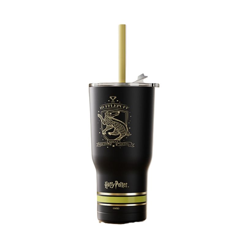 Harry Potter Black Steel Tumbler with Charm & Straw 580ml