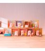 LuLu the Piggy Collection Pleasure Time Surprise Box Figure Blind Box