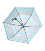 Coloradio Sun Umbrella 