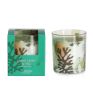 MINISO Nice Series Olive Leaf & Fig Scented Candle