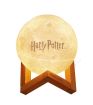 Harry Potter Decorative Light