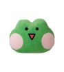 Minini Collection 17 Inch Head-shaped Pillow Lenini Character